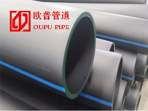 PE���_�ڴ�Խ��